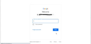 Enter your Gmail password 